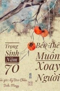 Trọng Sinh Năm 70: Béo Thê Muốn Xoay Người